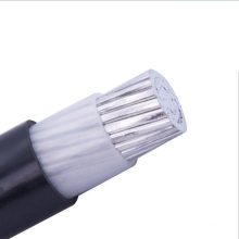 NA2X2Y-O 01X300 RM 0.6/1 kV  dc power cable